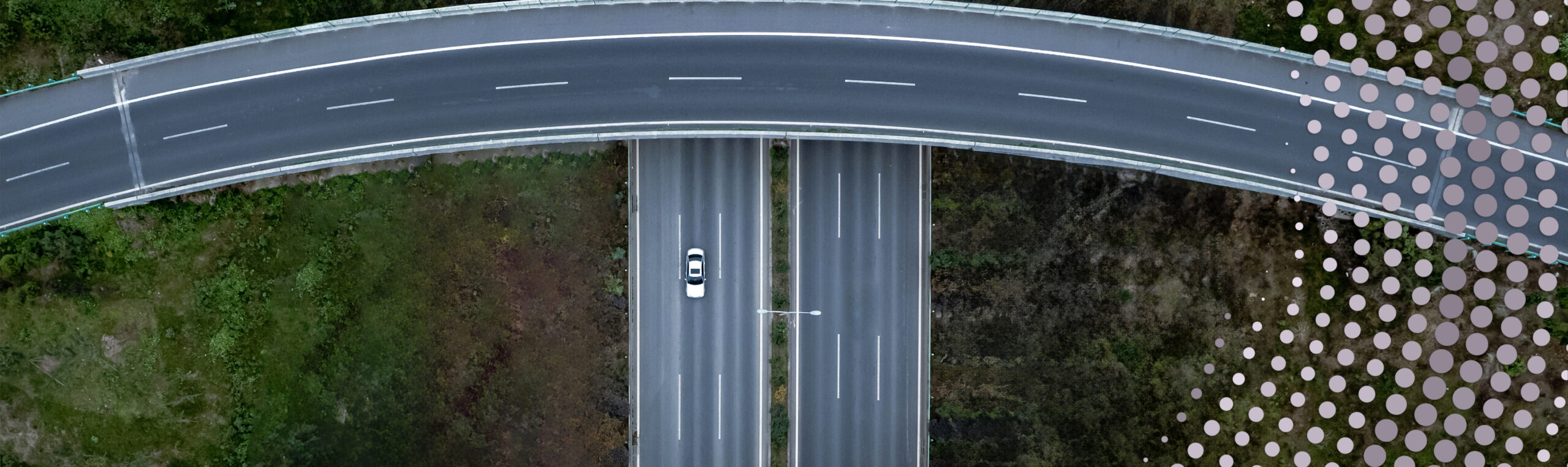 BizStar – Premium Business Internet Plan by Bitstar